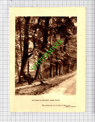 Scarborough / Mickley Yorkshire - c.1930s Book Print