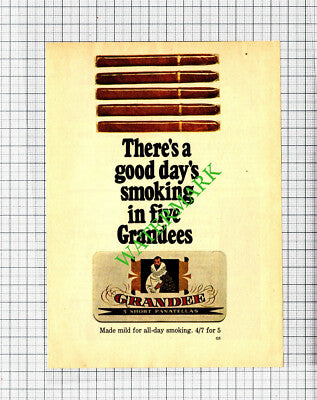 Grandee Short Pantellas Small Advert - 1966 Cutting