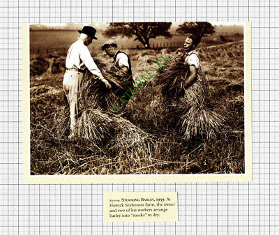 Howick Seahouses Farm - 2-Part Cutting