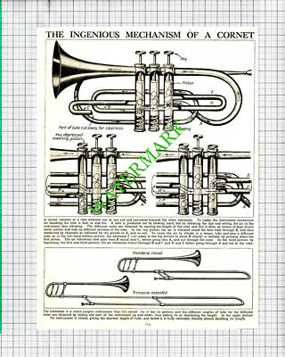 Mechanism Of A Cornet Musical Instrument - c.1930's Cutting / Print
