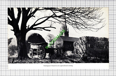 Patrington Church - 1970s Cutting / Print