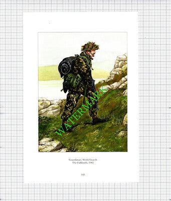 Guardsman Welsh Guards The Falklands- c.1990's Print