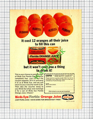 Birds Eye Florida Frozen Orange Juice Small Advert - 1966 Cutting