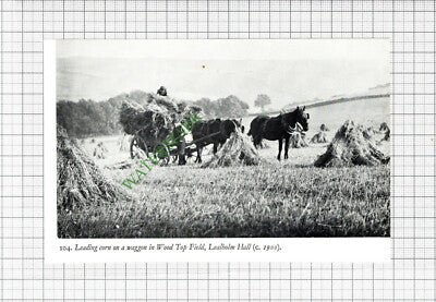 Wood Top Field Lealholm Hall - 1970s Cutting