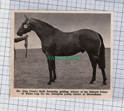 C760) Alan Crow NULLI SECUNDUS Winner Prince of Wales Cup Shrewsbury - 1971