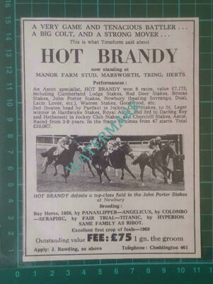 C2687) HOT BRANDY Horse Manor Stud Farm Marsworth - 1969 Clip