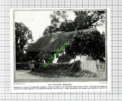 Hereford Old Cottages - 1920's Small Cutting / Print