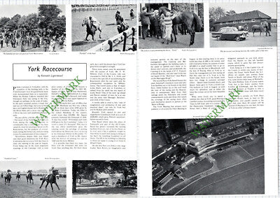 9673) York Racecourse - 1967 Article