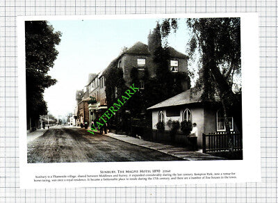 Sunbury On Thames Magpie Hotel - Cutting