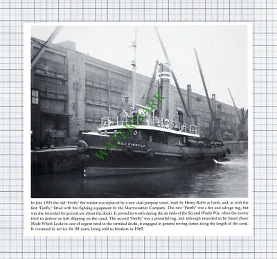 MSC FIREFLY Tug Boat - Cutting