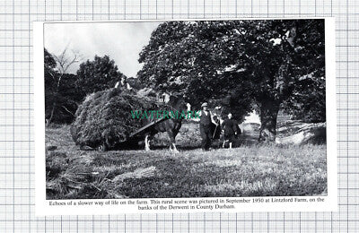 C5893) Lintzford Farm County Durham - Cutting