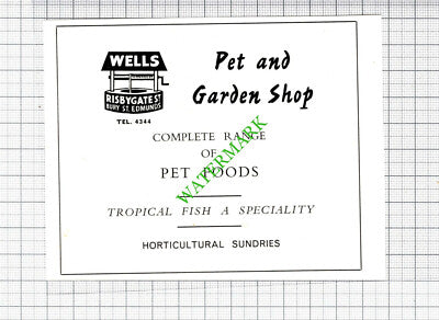 Bury St Edmunds Wells Pet and Garden Shop Small Advert - 1964 Cutting