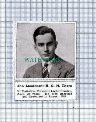 C4895) 2nd Lt HGH Thorp 3rd Bn Yorkshire Light Infantry War WW1 -1915 SMALL Clip