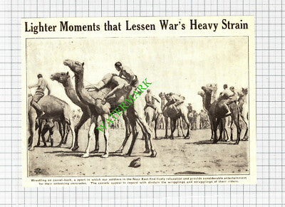 Camel Wrestling World War One WW1 - 1918 Cutting