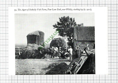 Agar Stakesby Vale Farm Four Ends Lane Whitby - 1970s Cutting
