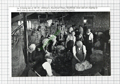 Mr H Atkinson Goathland House Goathland Sheep - 1970s Cutting