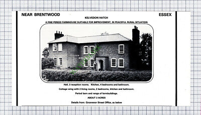 C7851) Kelvedon Hatch Essex - 1981 Cutting