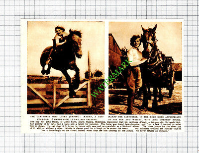 Mr John Rocks Glebe Farm South Ruislip Middlesex Dorothy Rocks - 1953 Cutting