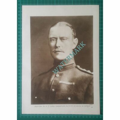 Major Gen Sir A F Godley Gallipoli World War One - c.1919 Clipping / Print