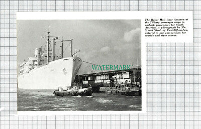 C5397) Royal Mail Liner Ship AMAZON Tilbury Essex - 1962 Cutting