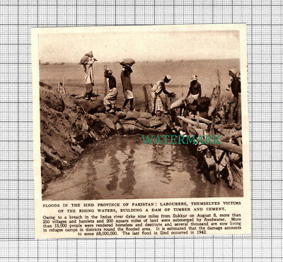 C2759) Sind Province of Pakistan Floods - 1948 Clip