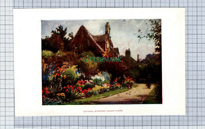 C4107) OXFORD Worcester College Garden Cottages / Lake -SMALL c.1900 Book Print