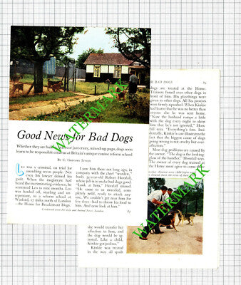 Robert Horsfall Watford Home For Recalcitrant Dogs NCDL - 1962 Article