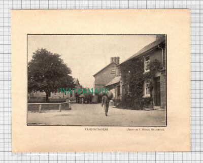 C3686) Thorparch Thorp Arch Yorkshire - 1907 Book Print