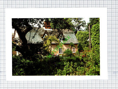 Ufford Suffolk - 1980s Cutting / Print