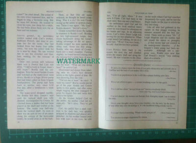 C4283) Carl Powell Fountain of Fear Melbourne Australia - Magazine Article 1985