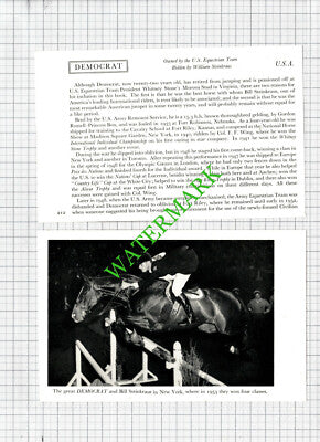 William Steinkraus Bill USA DEMOCRAT Horse - 1950s 2-Part Cutting