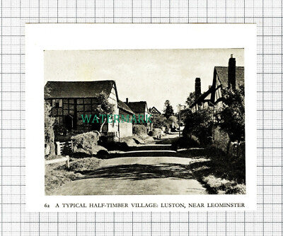 C5684) Luston Village Leominster - c.1940 SMALL Cutting