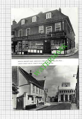 Bury St Edmunds Ridleys Grocer Shop Crown Street - 1964 Cutting / Print