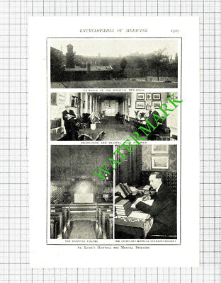 St Lukes Hospital For Mental Diseases - c.1914 Book Print