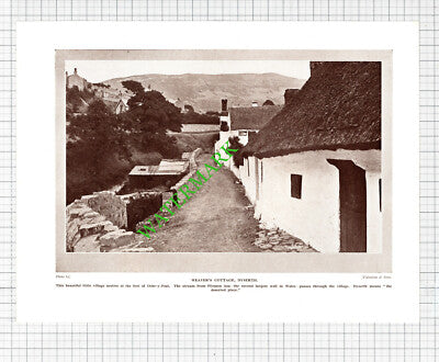 Dyserth Weaver's Cottage - 1920's Cutting / Print