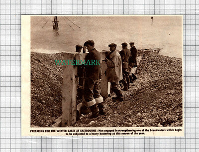 C3373) Eastbourne Men Strengthening Breakwaters - 1950 Clip
