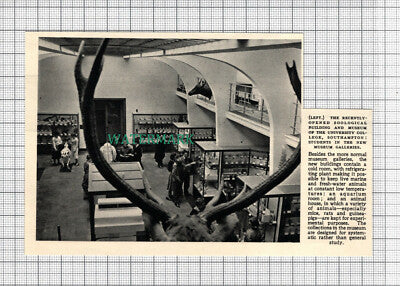 C3114) University College Southampton Zoological Museum - 1952 Clip