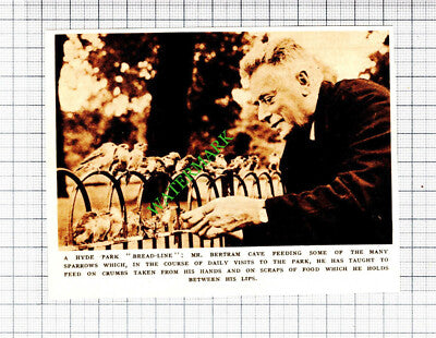 Mr Bertram Cave Hyde Park Birds - 1953 Cutting