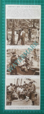 (X389) Malaya Rubber Mr S Herring Dublin Estate - 1948 Clip