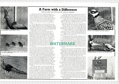 X1115) Park Wildfowl Farm Crewkerne John Margaret Murray - 1969 Article