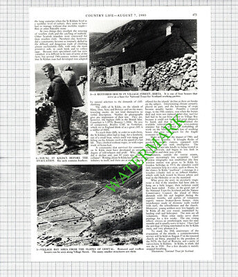 St Kilda - 1980 Article