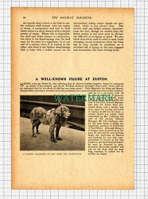 C5743) Euston Station Fund Collecting Dog Brum II - 1917 Cutting