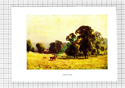 Cobham Park Kent - c.1910 Small Print