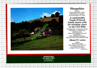 Minton Somerset House Sale Advert - 1991 Cutting