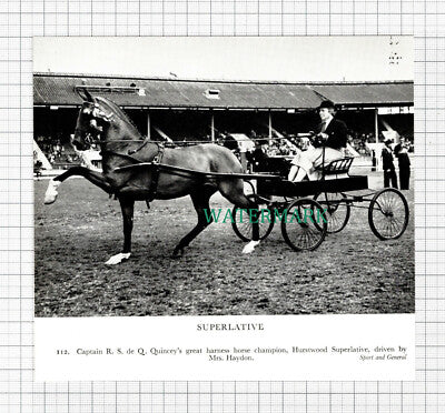 C5453) Captain R S de Q Quincey Mrs Haydon Harness Horse - 1959 Cutting