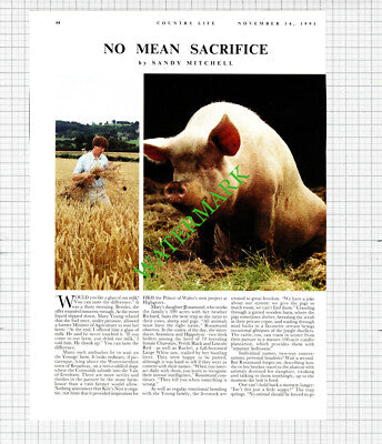 Kite's Nest Farm Worcestershire Mary Young Rosamund Richard - 1991 Article