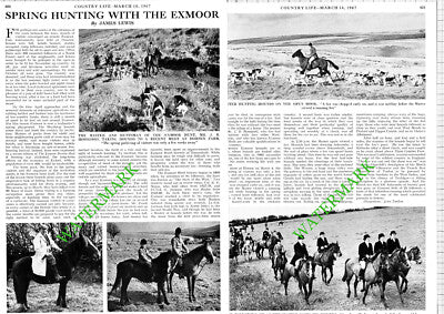 The Exmoor Hunt Bill Little Hosegood Mrs Tom Gage Horsen Farm - 1967 Article