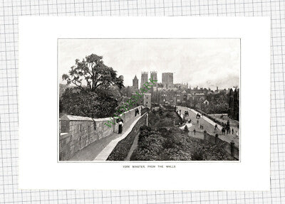 9995) York Minster From The Walls - c.1910 Cutting / Print