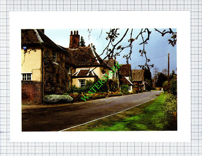 Chelsworth Suffolk - 1980s Cutting / Print