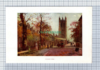 C4100) OXFORD Magdalen Tower / The Deer Park - SMALL c.1900 Book Print